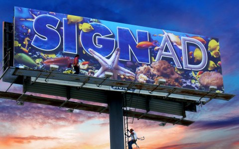 signad_Sea_fish_cropped